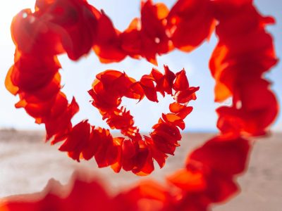Vivid heart-shaped garland of red petals against a bright desert backdrop.